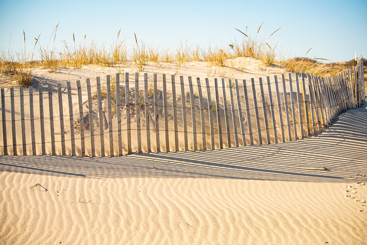 Timber fencing along the Geelong and Bellarine Peninsula coastline built by Drysdale Fencing